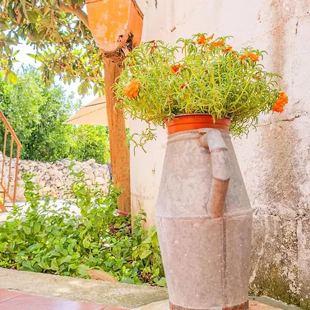 Casa Bottazzi Diso